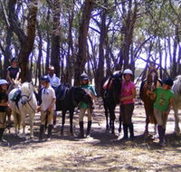 Bellarine Horse Riding Centre - Attractions Brisbane