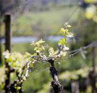 Kyneton Ridge Estate - Attractions Brisbane