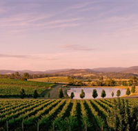 Oakridge Wines - Attractions Brisbane