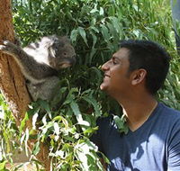Healesville Sanctuary - Attractions Brisbane