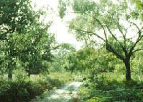 Rosedale VIC Attractions Brisbane
