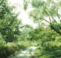 Holey Plains State Park - Attractions Brisbane