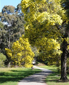 Surrey Hills VIC Attractions Brisbane
