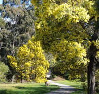 Wattle Park - Attractions Brisbane