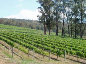 Ada VIC Attractions Brisbane