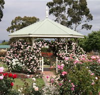 Morwell Centenary Rose Garden - Attractions Brisbane