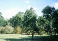 Sweeneys Flat
