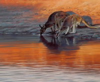 Steve Morvell Wildlife Art