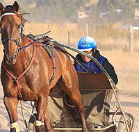 Ballarat  District Trotting Club - Attractions Brisbane