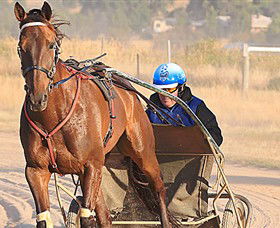 Ballarat & District Trotting Club - Attractions Brisbane 0