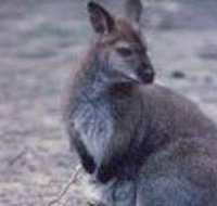 Churchill National Park - Attractions Brisbane