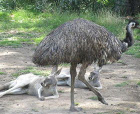 Bundoora Park - Attractions Brisbane 0