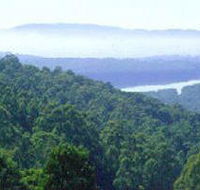 Kalorama Park - Attractions Brisbane