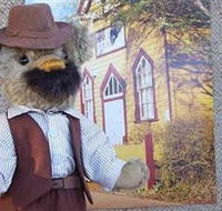 Stanley Bears - Attractions Brisbane