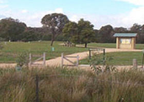 Dandenong Police Paddocks Reserve - Attractions Brisbane 0