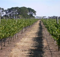 Mount Beckworth Wines - Attractions Brisbane