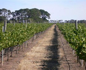 Mount Beckworth Wines - Attractions Brisbane 0