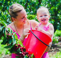 Cherryhill Orchards - Attractions Brisbane