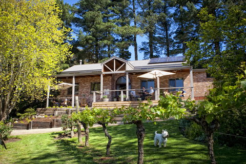 Main Ridge Estate - Attractions Brisbane 2
