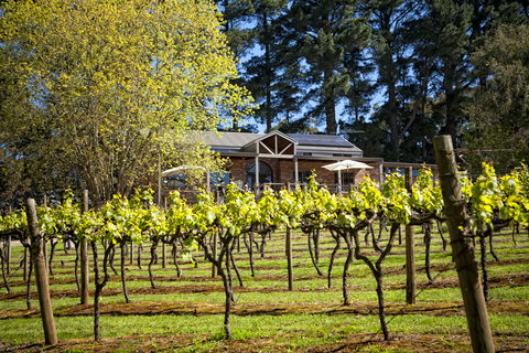 Main Ridge Estate - Attractions Brisbane 3