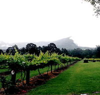 Cambewarra Estate Wines - Attractions Brisbane