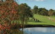 Jamberoo Golf Club - thumb 0