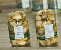 Book Pambula Accommodation Vacations Attractions Brisbane Attractions Brisbane