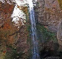 Grotto Walk - Attractions Brisbane