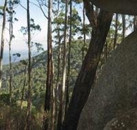 Gulaga National Park - Attractions Brisbane