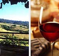 Jasper Valley Wines and Vines Cafe - Attractions Brisbane