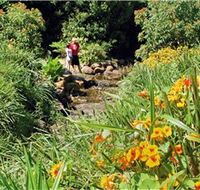 Bonaira Native Gardens - Attractions Brisbane