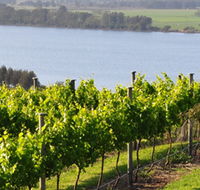 Two Figs Winery - Attractions Brisbane