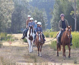 Horse Riding At Oaks Ranch And Country Club - Attractions Brisbane 0