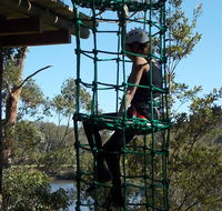 Trees Adventure Shoalhaven - Attractions Brisbane