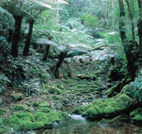 Deua National Park - Attractions Brisbane