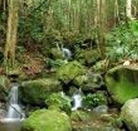 Budderoo National Park - Attractions Brisbane