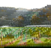 Tilba Valley Wines - Attractions Brisbane