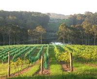 Book Narooma Accommodation Vacations Attractions Brisbane Attractions Brisbane