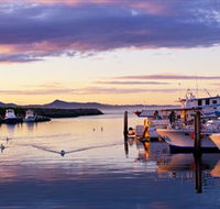 Bermagui Fishermens Wharf - Attractions Brisbane