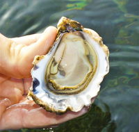 The Oyster Pot - Attractions Brisbane