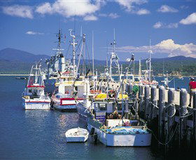Snug Cove - Attractions Brisbane 0