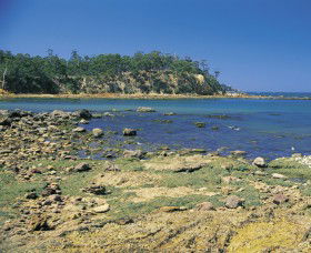 Aslings Beach - Attractions Brisbane 0