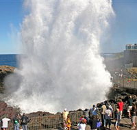 Kiama Blowhole - Attractions Brisbane