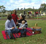 Blackbutt Forest Reserve - Attractions Brisbane