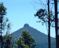 Pigeon House Tea Rooms