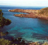 Bass Point Reserve - Attractions Brisbane