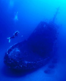 Merimbula Divers Lodge - Attractions Brisbane 0