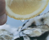 Pearly Oyster Bar and Farm