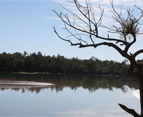 Toormina NSW Attractions Brisbane