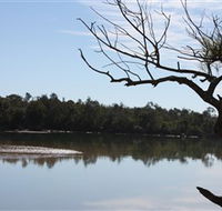 North Coast Holiday Parks Boambee Creek Reserve - Attractions Brisbane